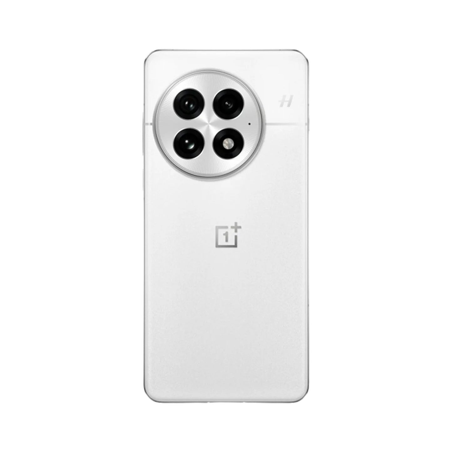 OnePlus 13 512GB Arctic Dawn
